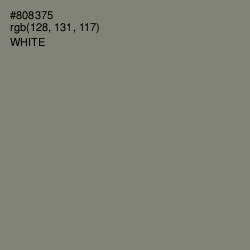 #808375 - Bandicoot Color Image