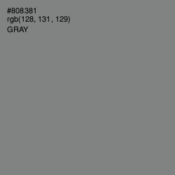 #808381 - Gray Color Image