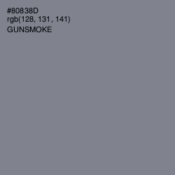 #80838D - Gunsmoke Color Image