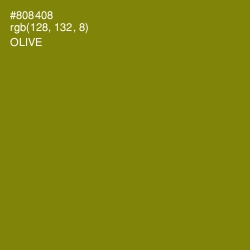 #808408 - Olive Color Image