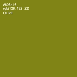 #808416 - Olive Color Image