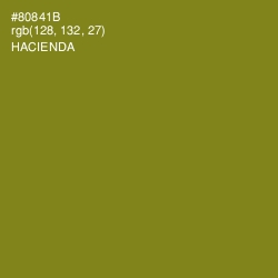 #80841B - Hacienda Color Image