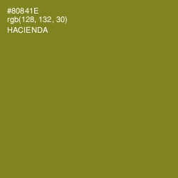 #80841E - Hacienda Color Image