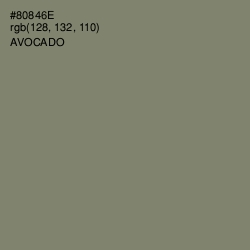 #80846E - Avocado Color Image