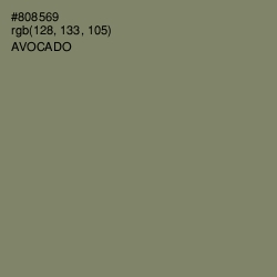 #808569 - Avocado Color Image