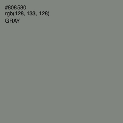 #808580 - Gray Color Image