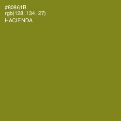 #80861B - Hacienda Color Image