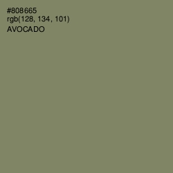 #808665 - Avocado Color Image