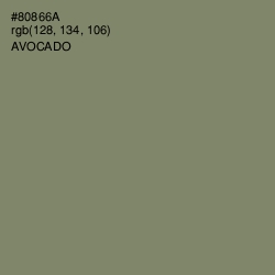 #80866A - Avocado Color Image