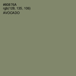 #80876A - Avocado Color Image