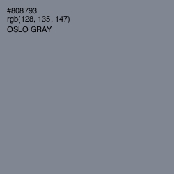 #808793 - Oslo Gray Color Image