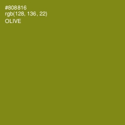 #808816 - Olive Color Image