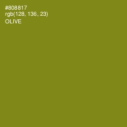 #808817 - Olive Color Image
