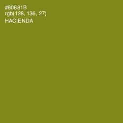 #80881B - Hacienda Color Image