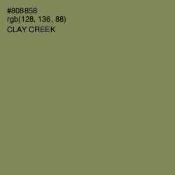 #808858 - Clay Creek Color Image