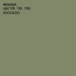 #80886A - Avocado Color Image
