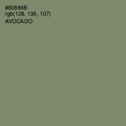 #80886B - Avocado Color Image