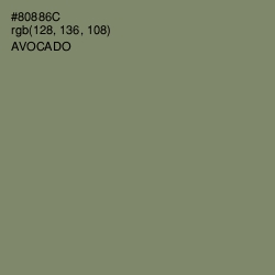 #80886C - Avocado Color Image