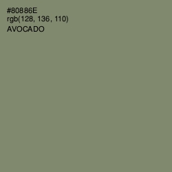 #80886E - Avocado Color Image