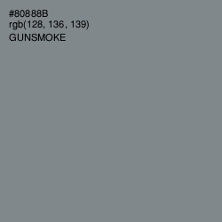 #80888B - Gunsmoke Color Image