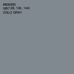 #808890 - Oslo Gray Color Image