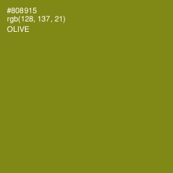 #808915 - Olive Color Image