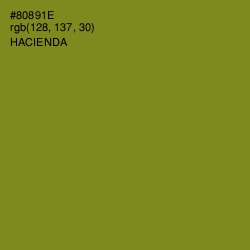 #80891E - Hacienda Color Image