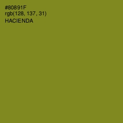 #80891F - Hacienda Color Image