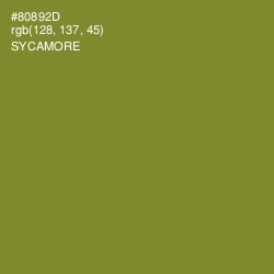 #80892D - Sycamore Color Image