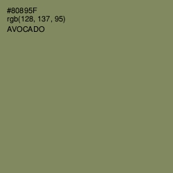 #80895F - Avocado Color Image