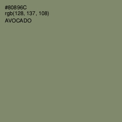 #80896C - Avocado Color Image