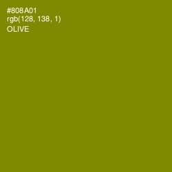 #808A01 - Olive Color Image
