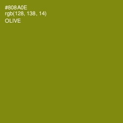 #808A0E - Olive Color Image