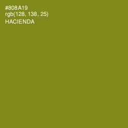 #808A19 - Hacienda Color Image