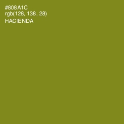 #808A1C - Hacienda Color Image