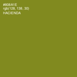 #808A1E - Hacienda Color Image