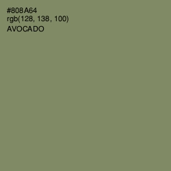 #808A64 - Avocado Color Image