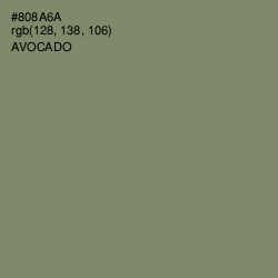 #808A6A - Avocado Color Image