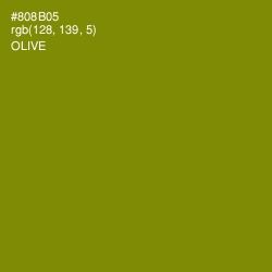 #808B05 - Olive Color Image