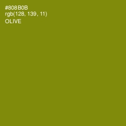 #808B0B - Olive Color Image