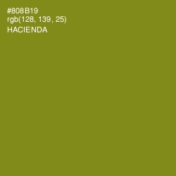 #808B19 - Hacienda Color Image