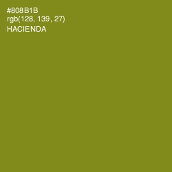 #808B1B - Hacienda Color Image