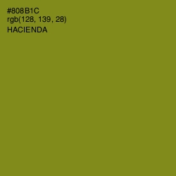 #808B1C - Hacienda Color Image