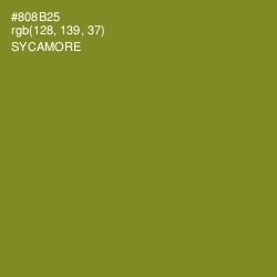 #808B25 - Sycamore Color Image