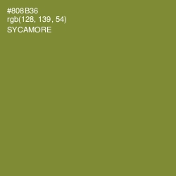 #808B36 - Sycamore Color Image