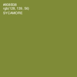 #808B38 - Sycamore Color Image