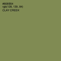 #808B54 - Clay Creek Color Image