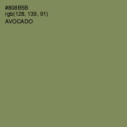 #808B5B - Avocado Color Image