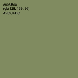 #808B60 - Avocado Color Image