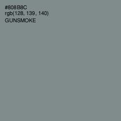 #808B8C - Gunsmoke Color Image